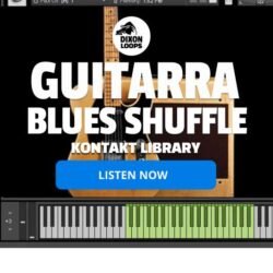 Guitarra Blues Shuffle - Kontakt Library