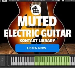 Muted Electric Guitar - Kontakt Library