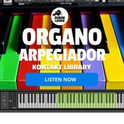 Organo Arpegiador - Kontakt Library