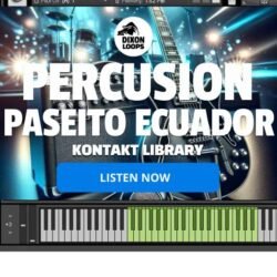 Percusion Paseito Ecuatoriano - Kontakt Library