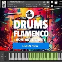 Drums  Flamenco  - Kontakt Library