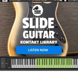 Slide Guitar - Kontakt Library