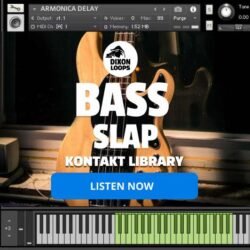 Bass Slap - Kontakt Library