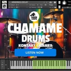 Chamame Drums - Kontakt Library