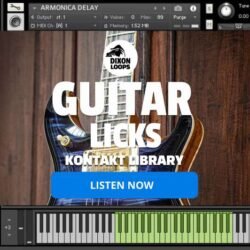 Guitar Licks - Kontakt Library