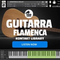 Guitarra Flamenca - Kontakt Library