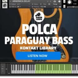 Polca Paraguaya Bass - Kontakt Library