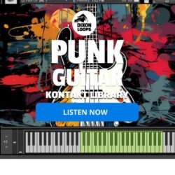 Punk Guitar - Kontakt Library