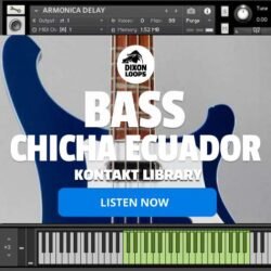 Bass Chicha Ecuatoriana - Kontakt