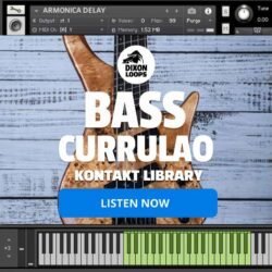 Bass Currulao - Kontakt Library