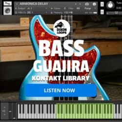 Bass Guajira - Kontakt Library