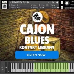 Cajon Blues - Kontakt Library