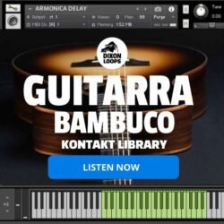 Guitarra Bambuco - Kontakt Library