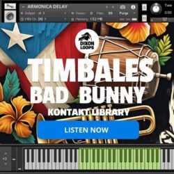 Timbales Bad Bunny - Kontakt Library