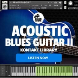 Acoustic Blues Guitar II