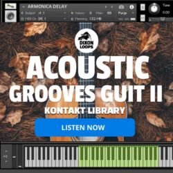 Acoustic Grooves Guitar II - Kontakt Library