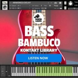 Bass Bambuco - Kontakt Library