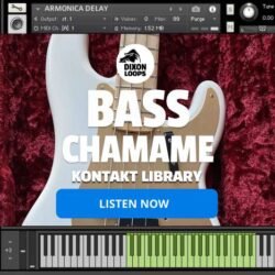 Bass Chamame - Kontakt Library