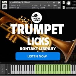Trumpet Licks - Kontakt Library