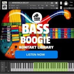 Bass Boogie - Kontakt Library