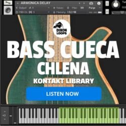 Bass Cueca Chilena - Kontakt Library