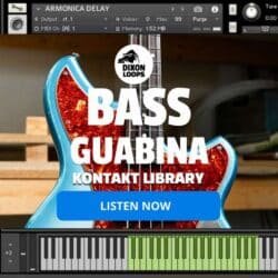 Bass Guabina - Kontakt Library