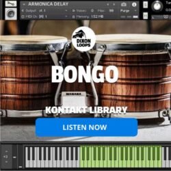 Bongo - Kontakt Library