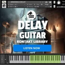 Delay Guitar - Kontakt Library