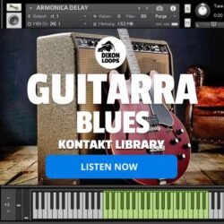 Guitarra Blues - Kontakt Library
