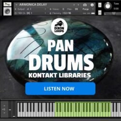 Pan Drums - Kontakt Library