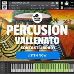 Percusión Vallenato - Kontakt Library
