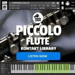 Piccolo Flute - Kontakt Library