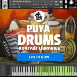 Puya Drums - Kontakt Library