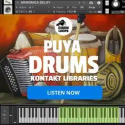 Puya Drums - Kontakt Library