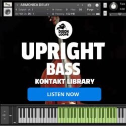Upright Bass - Kontakt Library
