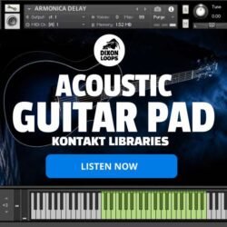 Acoustic Guitar Pad - Kontakt Library