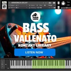 Bass Vallenato - Kontakt Library