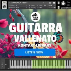 Guitarra Vallenato - Kontakt Library