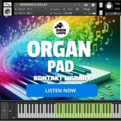 Organo pad - Kontakt Library